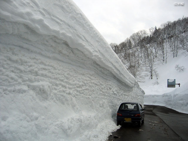 雪国　豪雪地帯　新潟県　妙高市　関温泉付近の積雪